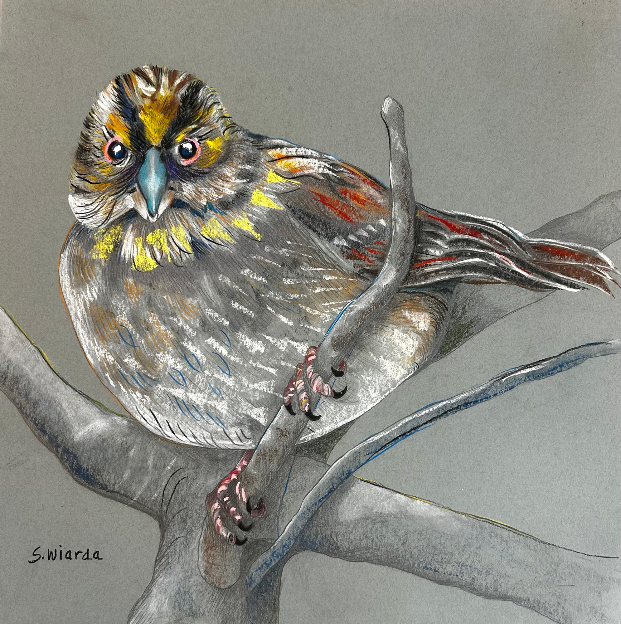 Philomath Arts Stephanie Wiarda